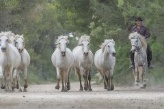 Digital-Open-Colour_Sandie-Cox_England_Coming-Home-at-the-End-of-the-Day_