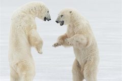 Digital-Open-Colour_Susan-Carter_Wales_Two-Brothers_