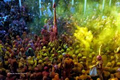 Digital-Open-Colour_Udayan-Sankar-Pal_India_Mathura-vii_