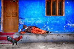 Digital-Open-Colour_Udayan-Sankar-Pal_India_Repose_