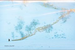 Digital-Open-Colour_Zhizhou-Jiang_China_Return-Late-in-the-Snowfield_