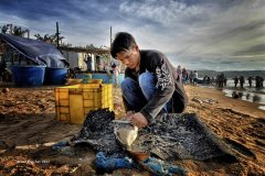 Digital-PhotoTravel_Lee-Eng-Tan_Singapore_Scaling-Fish-by-Sea_