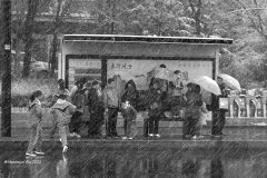 Digital-PhotoTravel_Maohsun-Wu_Taiwan_Snow_PAGB-Ribbon