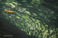 Digital-PhotoTravel_Marcel-Van-Balken_Netherlands_Downstream_PAGB-Ribbon