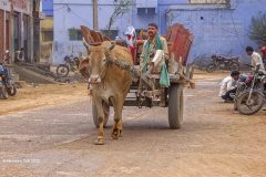 Digital-PhotoTravel_Maureen-Toft_England_Indian-Transport_