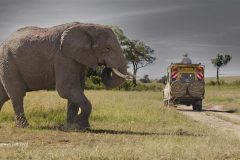 Digital-PhotoTravel_Maureen-Toft_England_Tourist_