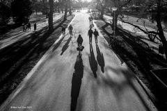 Digital-PhotoTravel_Max-Van-Son_Netherlands_Vondelpark-Visitors-13_