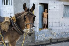Digital-PhotoTravel_Richard-Speirs_England_Patiently-Waiting_PSA-Gold-Medal