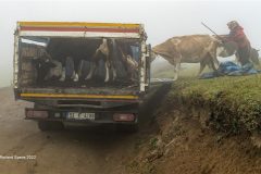 Digital-PhotoTravel_Richard-Speirs_England_The-Loading_Leigh-Woolfords-Medal