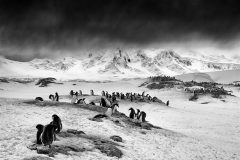 Print-Open-Monochrome_Volker-Meinberg_Germany_Port-Lockroy-12_FIAP-Ribbon