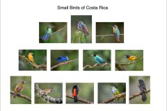 00-Lin-Wyles-AWPF-2025