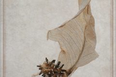 10.mid peace lily