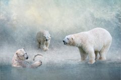 03-Lynda-Haney-AWPF-2025-Supper-For-One