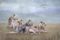 04-Lynda-Haney-AWPF-2025-African-Pride