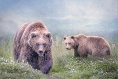 08-Lynda-Haney-AWPF-2025-Brown-Bears