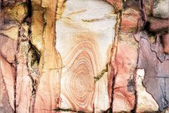 MF-intimate-landscapes-02-tm
