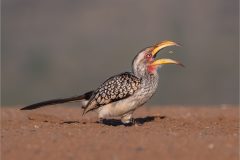 Mike-Bennett-AWPF-05