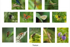 SG-Nature-00-plan