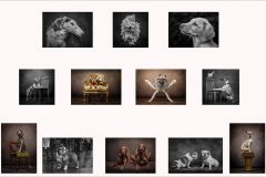 00-Victoria-Andrews-AWPF-2025