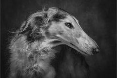 01-Victoria-Andrews-AWPF-2025