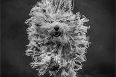 02-Victoria-Andrews-AWPF-2025