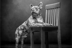 04-Victoria-Andrews-AWPF-2025