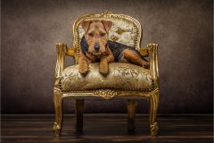 05-Victoria-Andrews-AWPF-2025