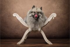 06-Victoria-Andrews-AWPF-2025