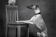 07-Victoria-Andrews-AWPF-2025