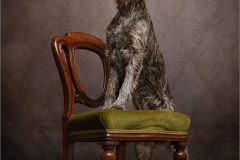 08-Victoria-Andrews-AWPF-2025