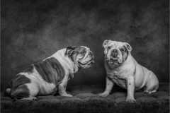 11-Victora-Andrews-AWPF-2025