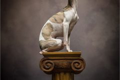 12-Victoria-Andrews-AWPF-2025